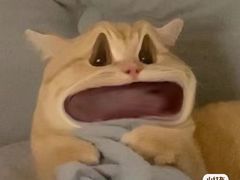 -洛阳麦盛斋糕点店(中州路店)