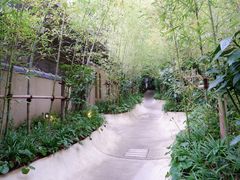 -来宫神社