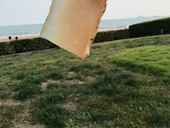 -山港凯悦酒店·BEBA海滩烧烤餐厅酒吧