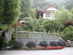 照片&nbsp;033-十八棵（老龙井）御茶园(老龙井店)