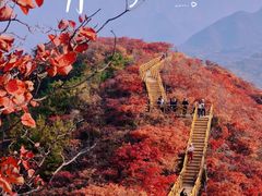 -水峪民俗村