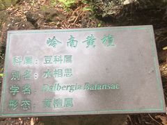 -海口火山口国家地质公园