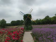 -江苏三台山国家森林公园