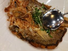 -喜上喜鸡煲翅(吉大店)