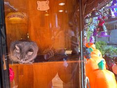 -VIKING SALOON西部美式烟熏烤肉(和平路店)