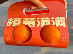 -呀路古热带植物园