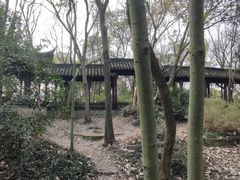 -上海佘山国家森林公园天马山园