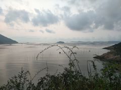 -北岐滩涂