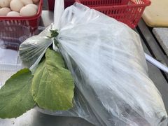 -大自然农场蔬菜草莓采摘园