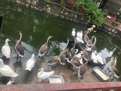 -香山小厨(南联路店)