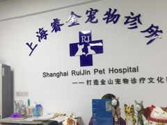 -睿金宠物医院·CT·肿瘤·骨外科