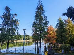 -飞来湖湿地公园