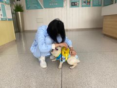-谐和贝康宠物医院24小时·宠保定点(急重症转诊中心)