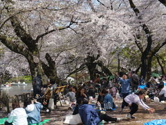 -井之头恩赐公园