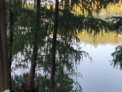 -海兰云天度假区温泉