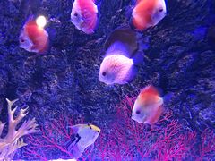 -梦幻海洋王国(吾悦广场张家港店)