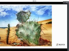 -蕃茄田艺术(普陀长风大悦城中心)