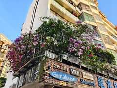 -隆都四季香饭店(碧海路店)