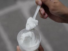 -洪馨椰子