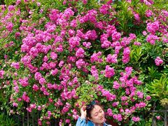 -中山路壹号传奇club·啤酒花园餐厅