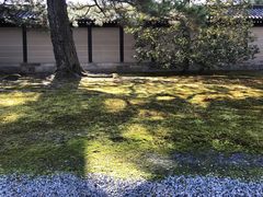 -京都御所