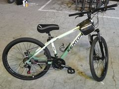 -道路口单车爱瓦士dahon大行