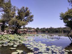 -承德避暑山庄景区