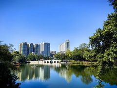 -荔湾湖公园