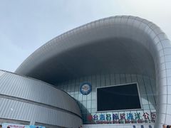-烟台海昌鲸鲨海洋公园
