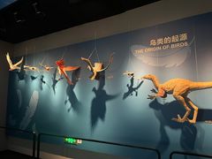 -自贡恐龙博物馆