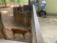 -昆明动物园