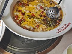 -新渝城·川菜·火锅(区庄店)