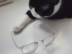 -棱石眼镜(CP静安店)