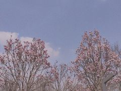 -府河摄影公园