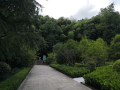 -上海佘山国家森林公园天马山园