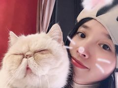 -猫色咖啡·猫咖