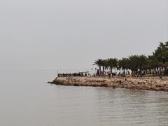 -野狸岛
