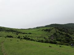 -大姆山草场