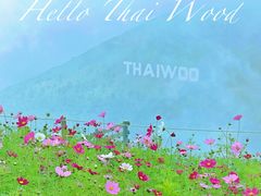 -太舞滑雪小镇