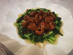 鸡毛菜圈子-龙汇酒家(沪闵路店)