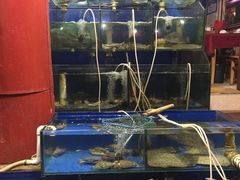 -香满居张记小厨私房菜(青岛站店)