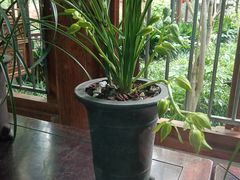 -上海植物园·停车场