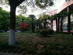 -上海外国语大学(虹口校区)