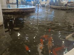 -碧中海汤泉汗蒸酒店