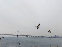 -星海广场