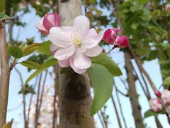 -莲花池公园