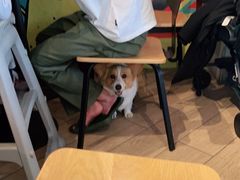-Taco Bell 塔可钟(民田路店)