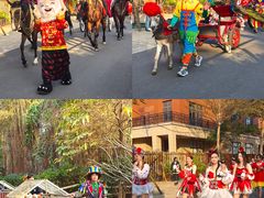 -灵玲国际马戏城