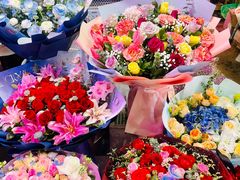 -花鸟鱼虫鲜花绿植市场(玉泉路店)