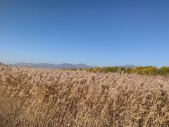 -野鸭湖国家湿地公园